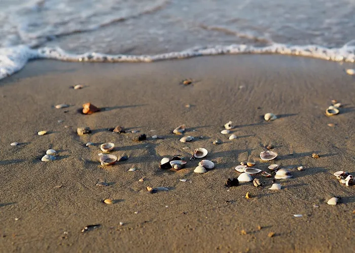 In A With Swimming Pool ビビオーネ